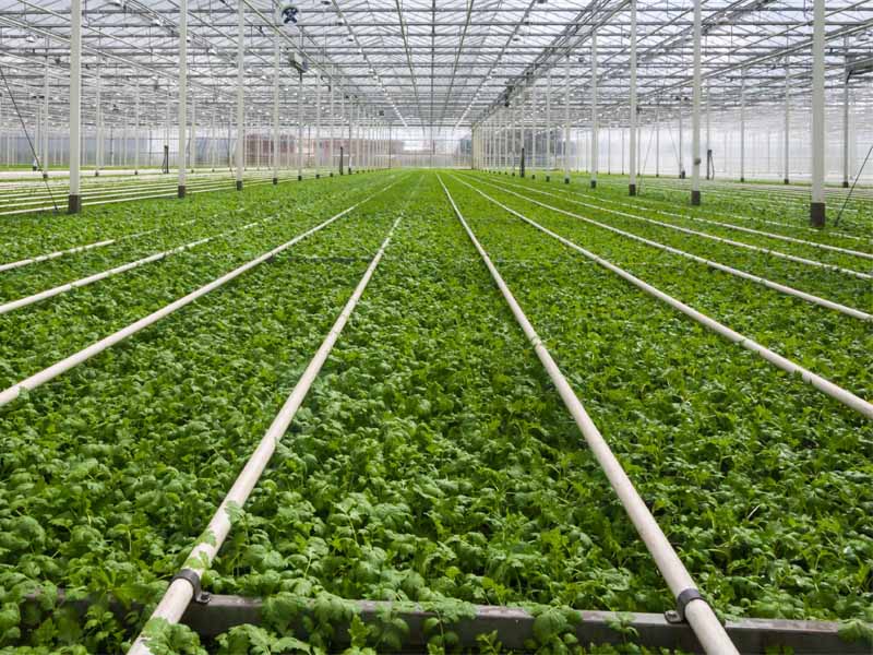 智慧農(nóng)業(yè)大棚解決方案